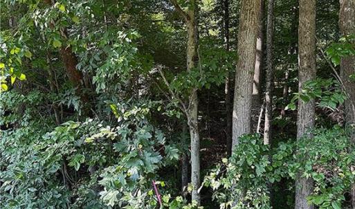 Photo #3 of US Highway 64, Trinity, NC 4.6 acres