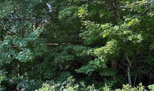 Photo #1 of US Highway 64, Trinity, NC 4.6 acres
