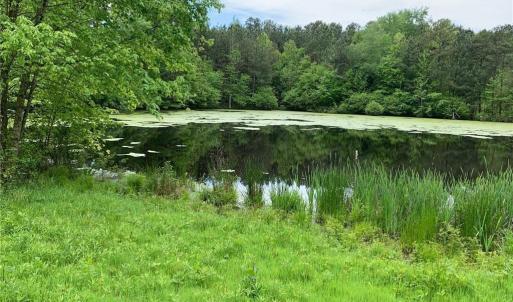 Photo #2 of 1791 County Home, Blanch, NC 40.1 acres