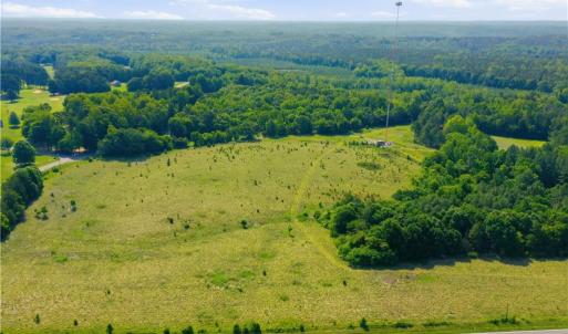 Photo #6 of 1791 County Home, Blanch, NC 40.1 acres