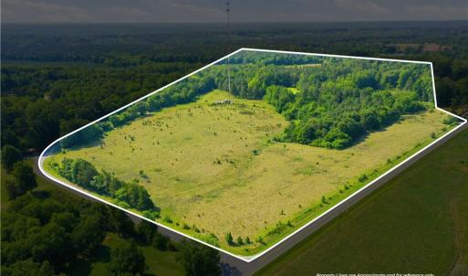 Photo #1 of 1791 County Home, Blanch, NC 40.1 acres