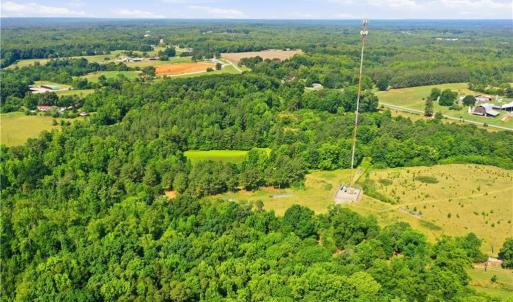 Photo #10 of 1791 County Home, Blanch, NC 40.1 acres