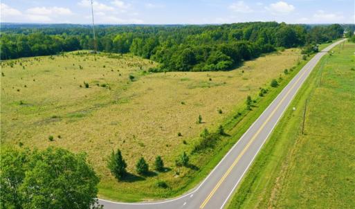 Photo #14 of 1791 County Home, Blanch, NC 40.1 acres