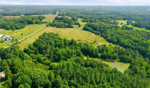 Photo #8 of 1791 County Home, Blanch, NC 40.1 acres