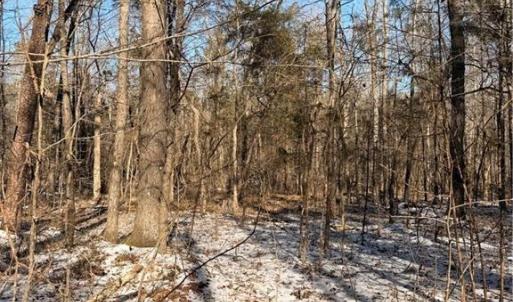 Photo #3 of Stokes Ferry, Gold Hill, NC 16.3 acres