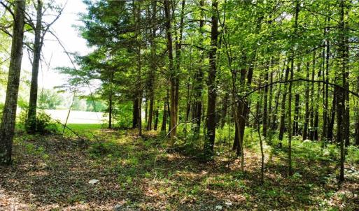 Photo #5 of Eden, Stoneville, NC 8.5 acres
