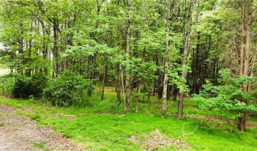 Photo #9 of Eden, Stoneville, NC 8.5 acres