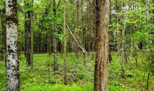 Photo #10 of Eden, Stoneville, NC 8.5 acres