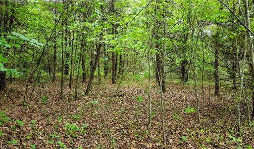 Photo #11 of Eden, Stoneville, NC 8.5 acres