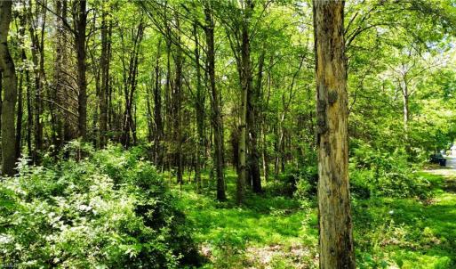 Photo #6 of Eden, Stoneville, NC 8.5 acres