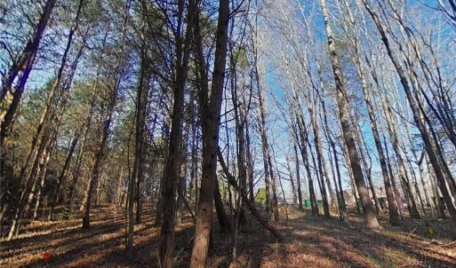 Photo #13 of Eden, Stoneville, NC 8.5 acres