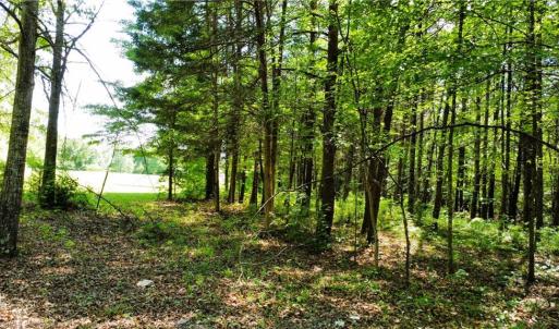 Photo #5 of Eden, Stoneville, NC 8.5 acres
