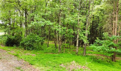 Photo #9 of Eden, Stoneville, NC 8.5 acres