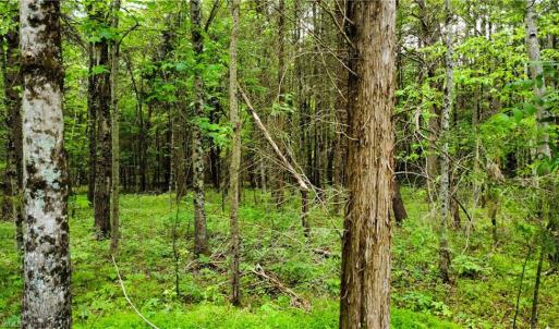 Photo #10 of Eden, Stoneville, NC 8.5 acres