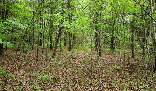 Photo #11 of Eden, Stoneville, NC 8.5 acres