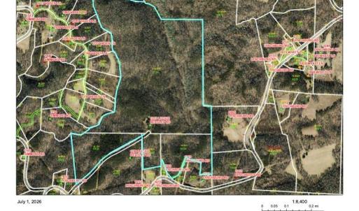 Photo #2 of 1215 Lucius Beasley, Westfield, NC 160.0 acres