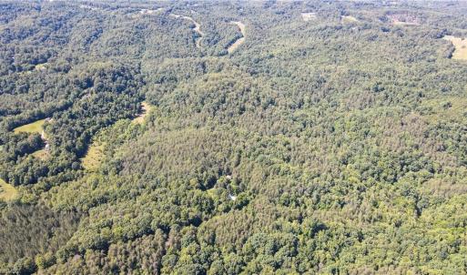 Photo #6 of 1215 Lucius Beasley, Westfield, NC 160.0 acres