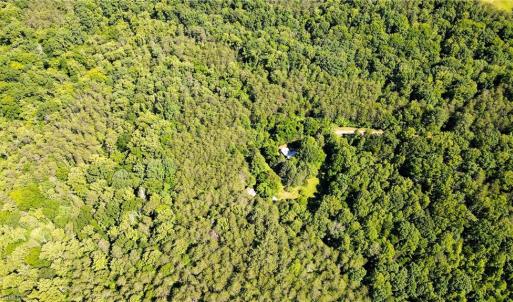 Photo #12 of 1215 Lucius Beasley, Westfield, NC 160.0 acres