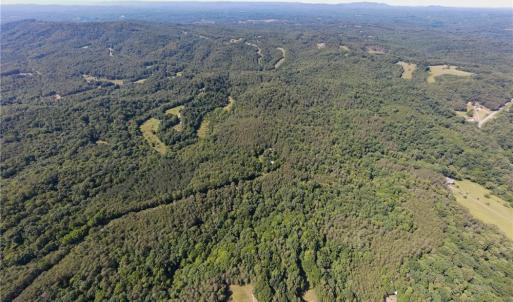Photo #7 of 1215 Lucius Beasley, Westfield, NC 160.0 acres
