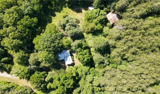 Photo #13 of 1215 Lucius Beasley, Westfield, NC 160.0 acres