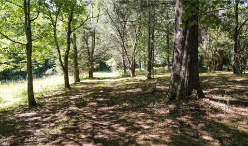 Photo #16 of 1215 Lucius Beasley, Westfield, NC 160.0 acres