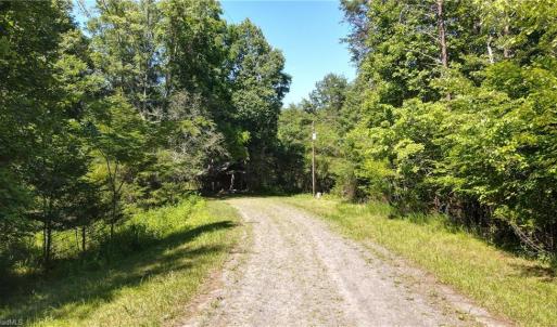Photo #1 of 1215 Lucius Beasley, Westfield, NC 160.0 acres