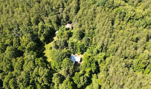 Photo #5 of 1215 Lucius Beasley, Westfield, NC 160.0 acres