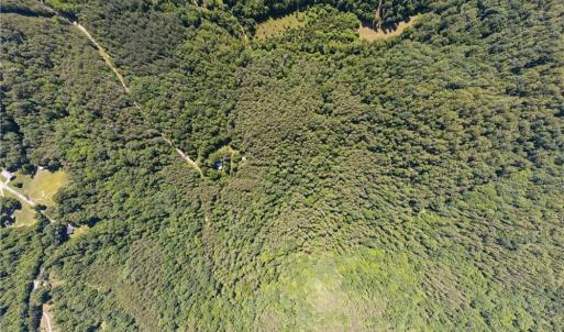 Photo #11 of 1215 Lucius Beasley, Westfield, NC 160.0 acres