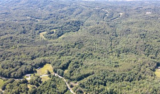 Photo #8 of 1215 Lucius Beasley, Westfield, NC 160.0 acres