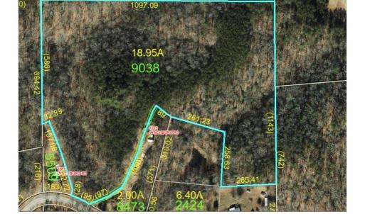 Photo #1 of Lynchburg, Westfield, NC 19.0 acres