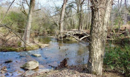 Photo #8 of 1000 Tarry Church, Star, NC 25.7 acres