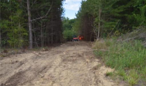 Photo #3 of 1034 Paschal, Yanceyville, NC 12.4 acres