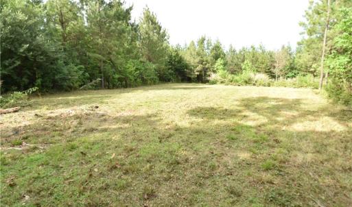 Photo #1 of 1034 Paschal, Yanceyville, NC 12.4 acres
