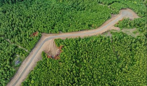 Photo #2 of 585 Briar Ridge Lane, Yanceyville, NC 10.1 acres