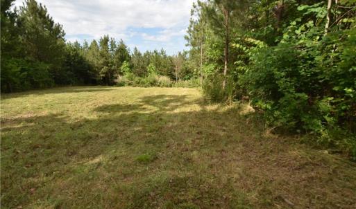 Photo #5 of 585 Briar Ridge Lane, Yanceyville, NC 10.1 acres