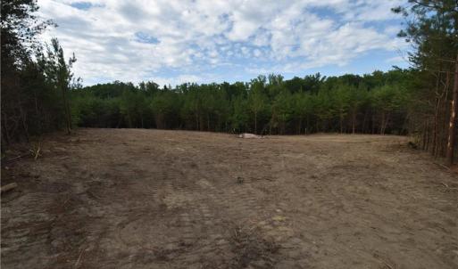 Photo #4 of 585 Briar Ridge Lane, Yanceyville, NC 10.1 acres