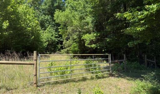 Photo #13 of Salem Church, Reidsville, NC 12.5 acres