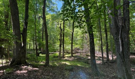 Photo #17 of Salem Church, Reidsville, NC 12.5 acres