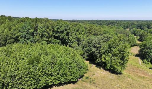Photo #9 of Salem Church, Reidsville, NC 12.5 acres