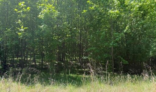 Photo #14 of Salem Church, Reidsville, NC 12.5 acres