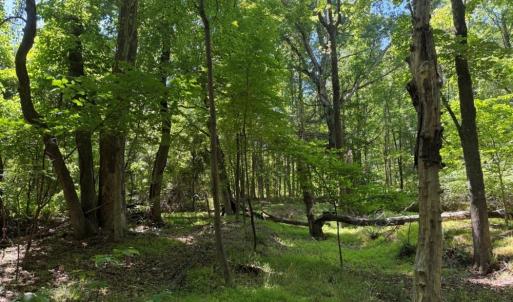 Photo #18 of Salem Church, Reidsville, NC 12.5 acres
