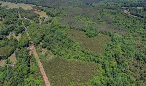 Photo #6 of Garrett, Stoneville, NC 84.9 acres