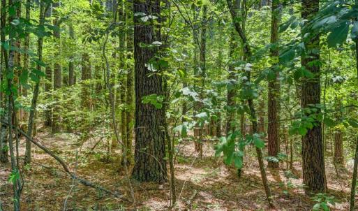 Photo #12 of Garrett, Stoneville, NC 84.9 acres