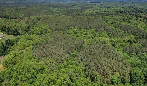 Photo #7 of Garrett, Stoneville, NC 84.9 acres