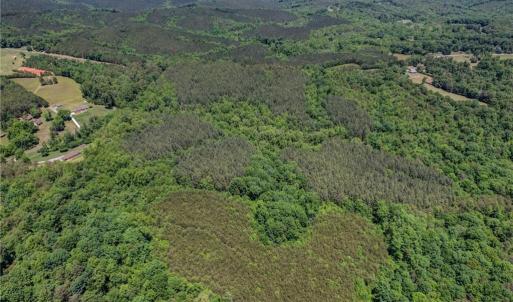 Photo #5 of Garrett, Stoneville, NC 84.9 acres