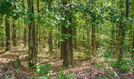 Photo #9 of Garrett, Stoneville, NC 84.9 acres