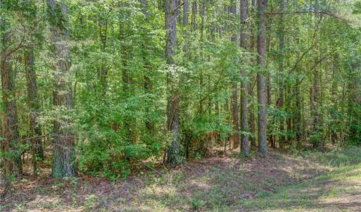 Photo #11 of Garrett, Stoneville, NC 84.9 acres