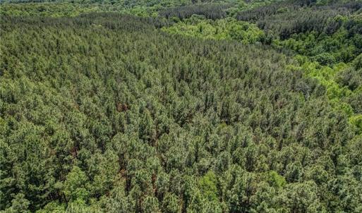 Photo #8 of Garrett, Stoneville, NC 84.9 acres