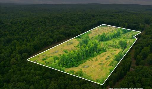 Photo #1 of Cane Creek, Snow Camp, NC 18.4 acres