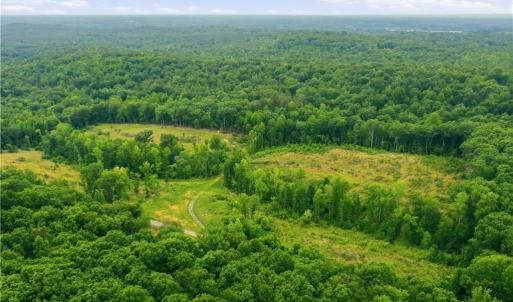 Photo #10 of Cane Creek, Snow Camp, NC 18.4 acres